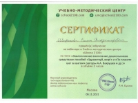Сертификат Широкова Е.В. экологическое воспитанпие Школа 2100  ноябрь 2021